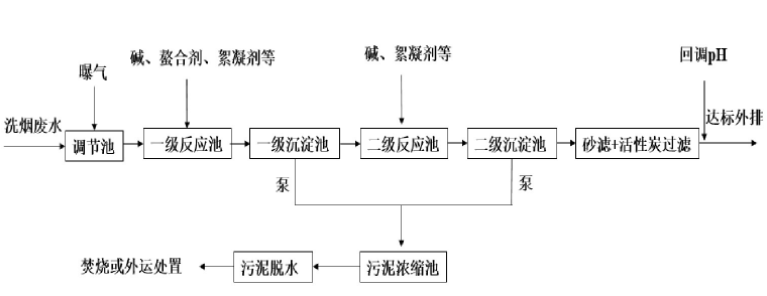 垃圾焚燒電廠洗煙廢水處理技術